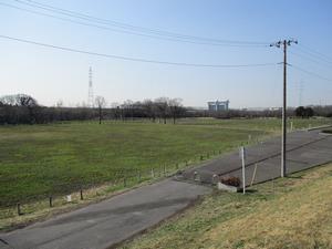 3月15日自生地