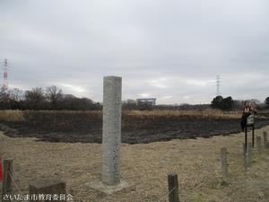 草焼き後の自生地