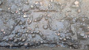 斜面部遺物出土状況(20241101)