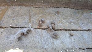 調査区東側斜面部　ローム層直上の遺物