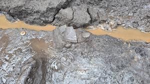 調査区西側谷部の土器集積地点