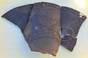 土器集積地点出土の口縁部破片