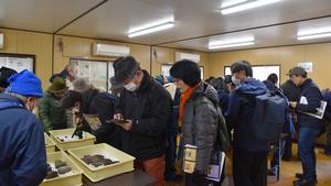 現地見学会　遺物展示の様子