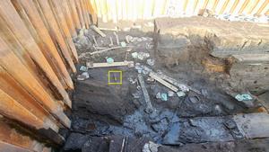 推定東大地点 南北方向に横たわる杭材