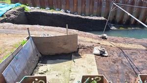 排水中の調査区（アップ）