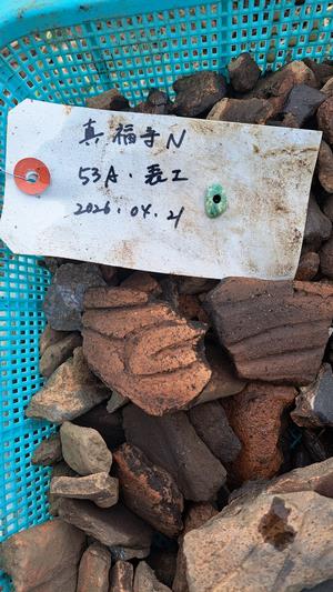 出土したヒスイのようなもの