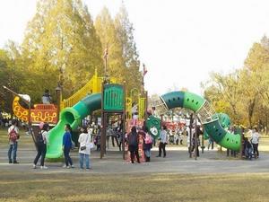 三橋総合公園・大型複合遊具1