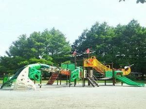 三橋総合公園・大型複合遊具