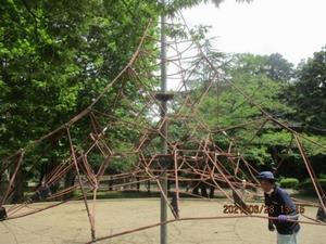 与野・大型のザイルクライミング
