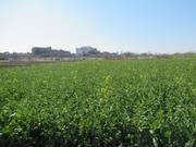 20260311緑区全体