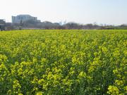 20260323緑区全体