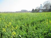 20260323北区全体