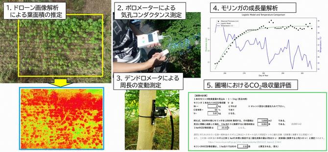 定量評価システム画像