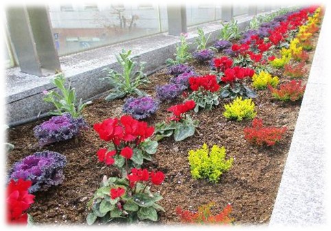 装飾ボランティア3