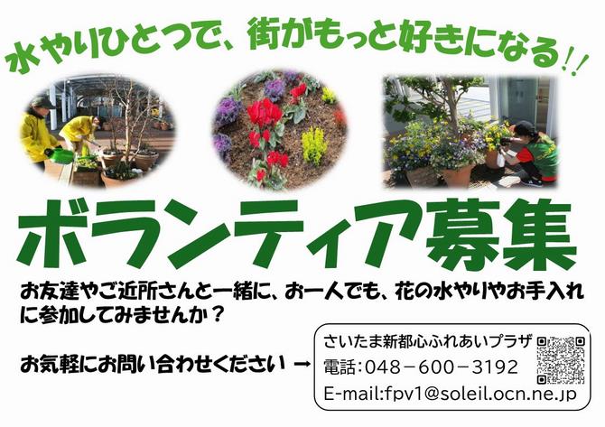 Flower Care Volunteer