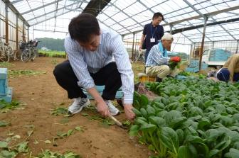施設野菜農家浜野恒氏