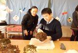 盆栽の授業