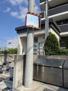 midori1