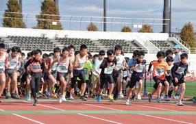 教育・文化・スポーツの分野1