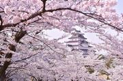 会津若松