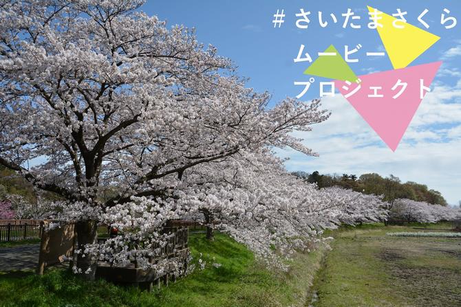 募集用の写真