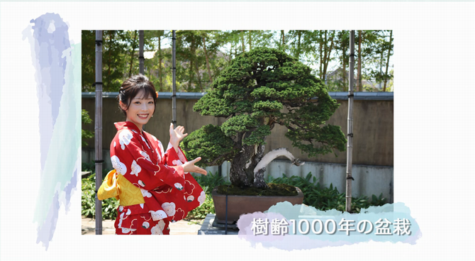 「伝統文化」をテーマにした動画のイメージ