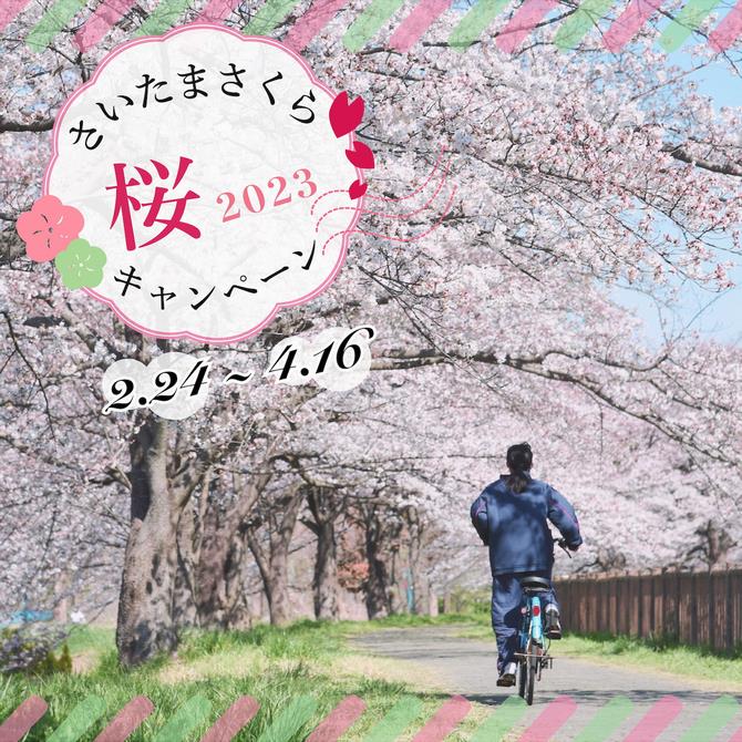#さいたまさくらキャンペーン画像