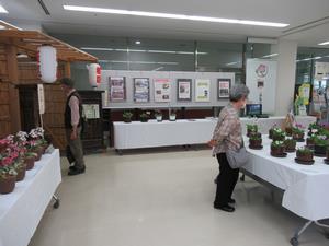 展示の様子