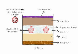 kikaku3