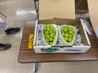 ぶどう共進会様子