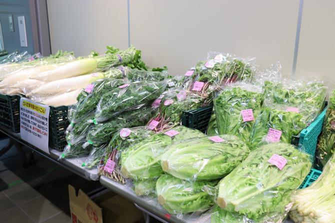 vege