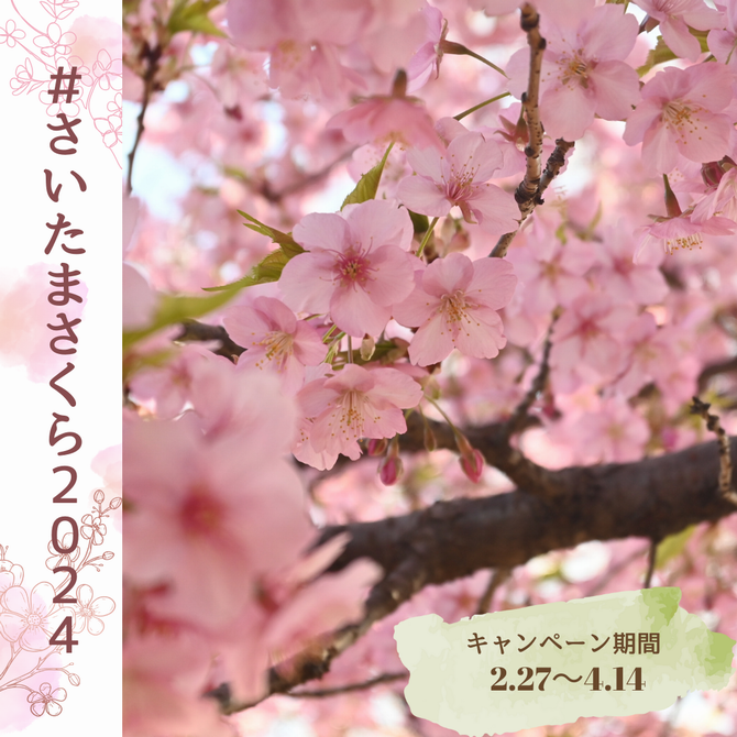 さくらサムネイル