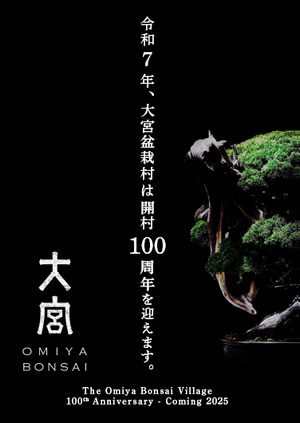 bonsai_100