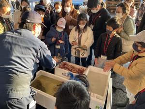 魚のお話