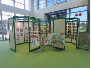 自然庭園や芝川で見られた生きものの写真を展示しています