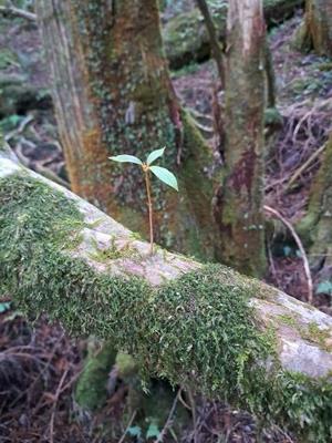 高校生の部_最優秀賞