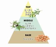香りB 案