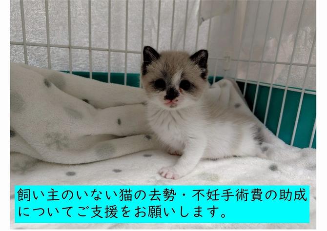 令和8年度用