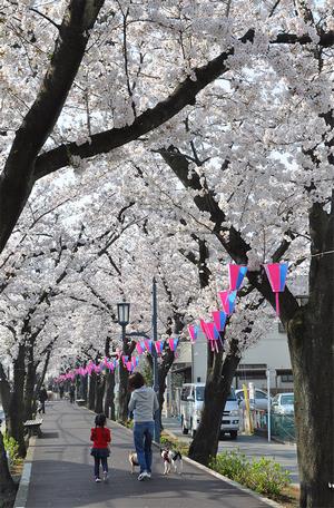 花と緑の散歩道（南区別所）