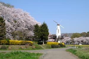 見晴公園（北区土呂町）