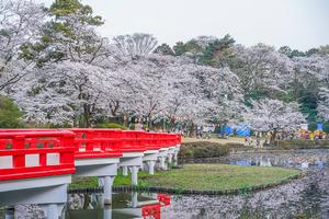 岩槻城址公園（岩槻区太田）