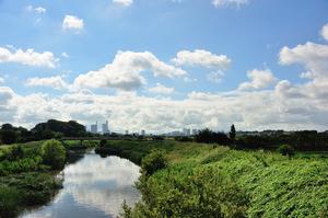 夏空と芝川