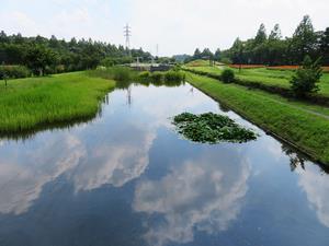 大宮花の丘農林公苑7
