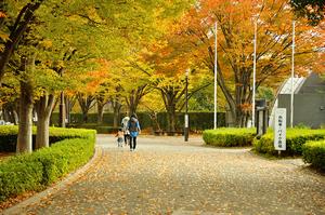 三橋総合公園4