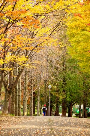 三橋総合公園5