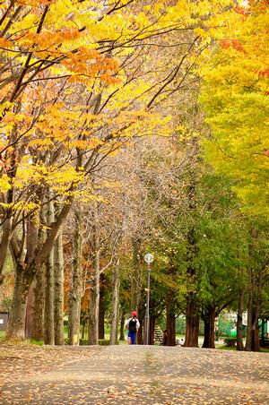 三橋総合公園5