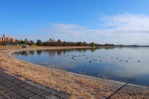 荒川彩湖公園1