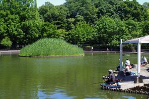 さぎ山記念公園3