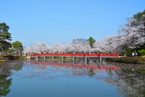 岩槻城址公園1