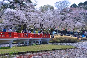 岩槻城址公園2